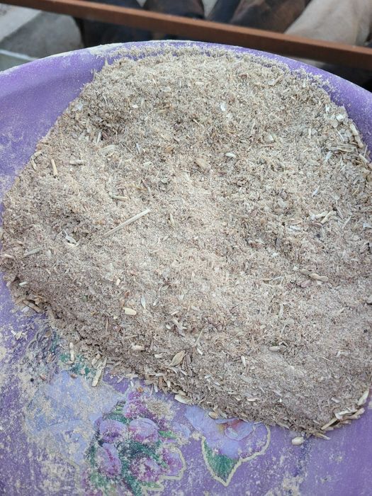 Зерно. Отход   пшеница. Чорва. Мол. Куйга