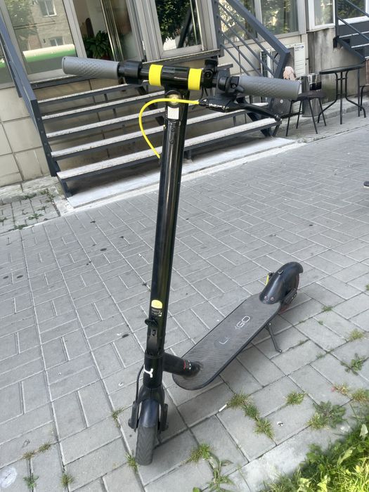 Trotineta lergo