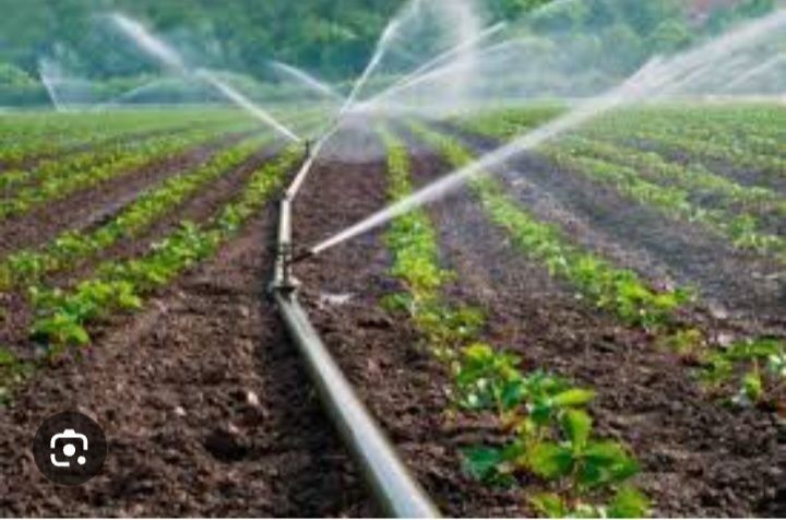 Tomchi yomgir sugorish texnalogiyalari