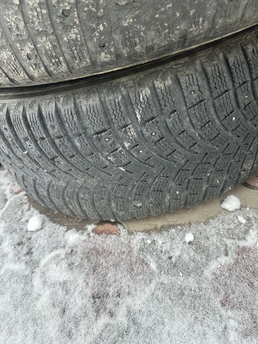 Комплект шипованных шин