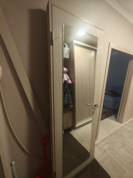 Дверь, полотно с зеркалом, коробка.