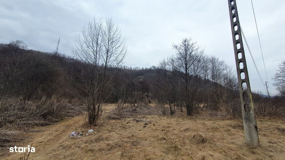 Teren Stana de Vale Sovata - Telek Patakmajor