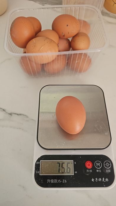 Домашние яйца всегда свежие