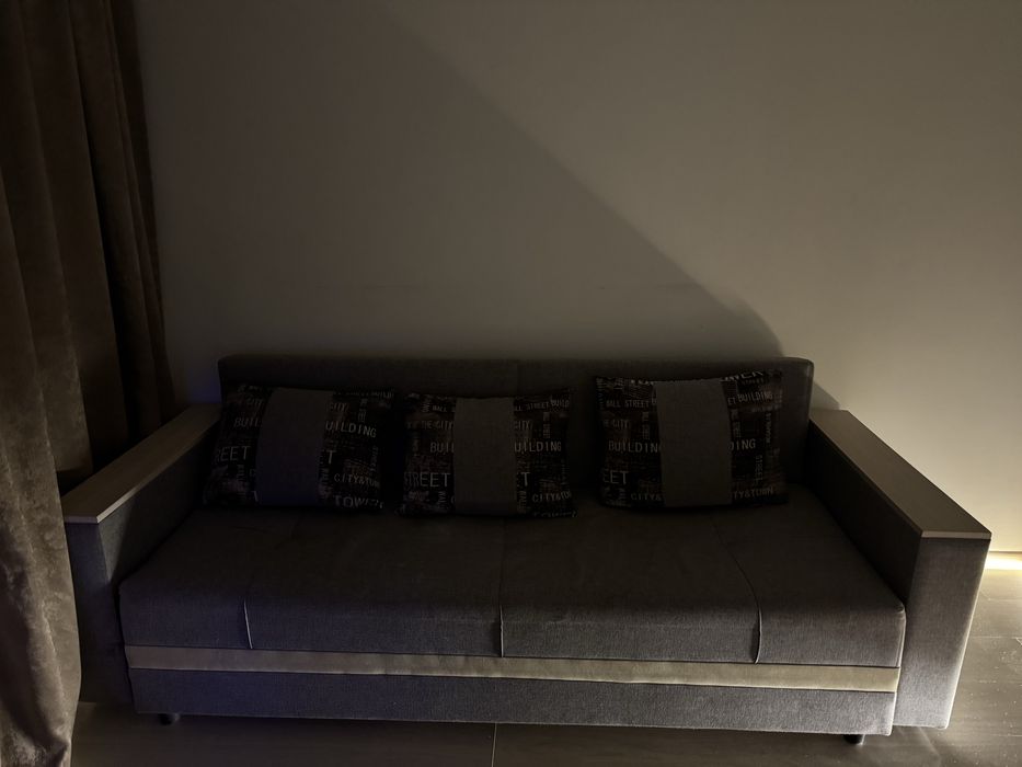 Серый Раскладной диван