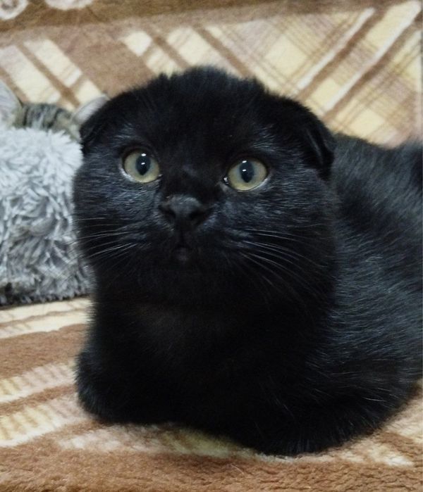 Мальчик ждет свою семью!