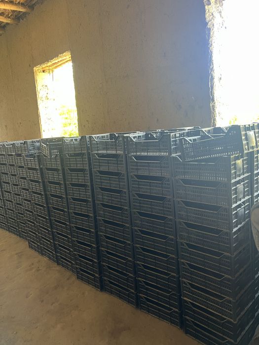 Яшикчалар сотилади