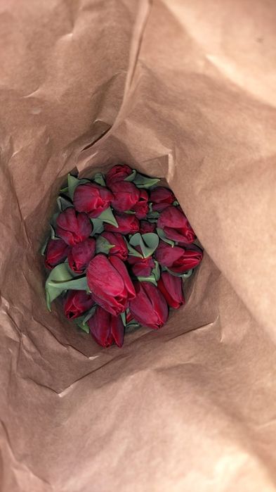 Тюлпан сатылады 22 расцветка бар