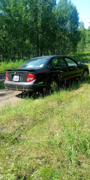 Ниссан максима v3