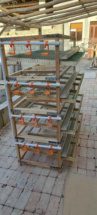 Bedana qafslar 5000 soʻmdan