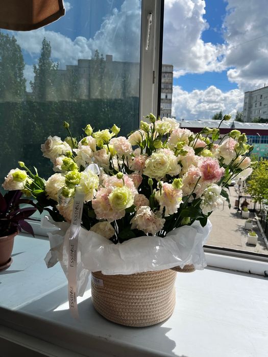 Цветы за 17к срочно