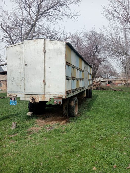 Продам      пчел