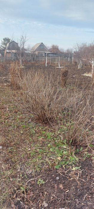 Продам дачный участок