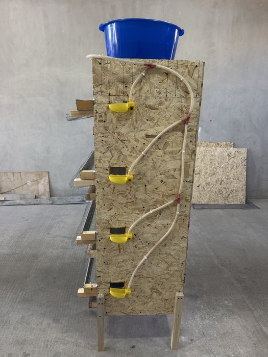 Bedana qafas hamda buruderlar bor