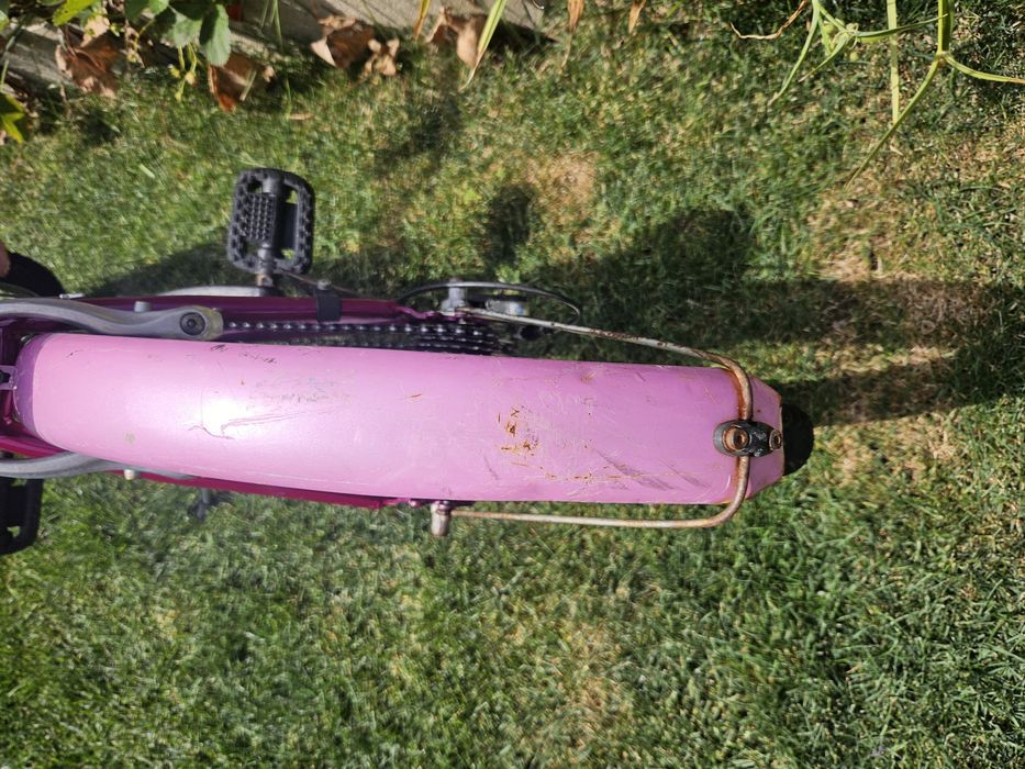 Bicicleta Papilon 20"