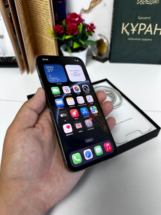 iPhone 12 pro max 256G
