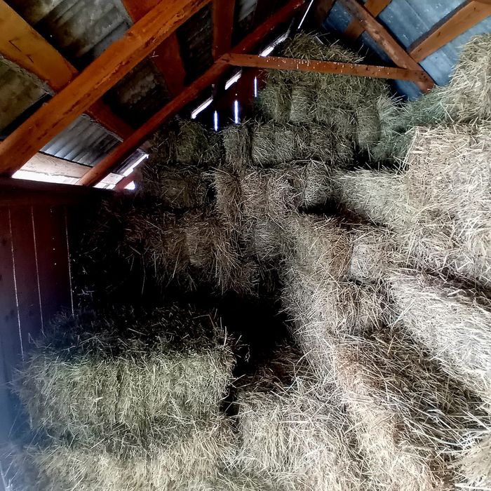 Vând baloți  de fân