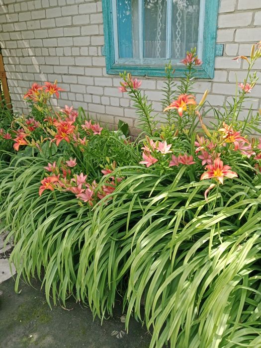 Продам дачу, с/о Эврика