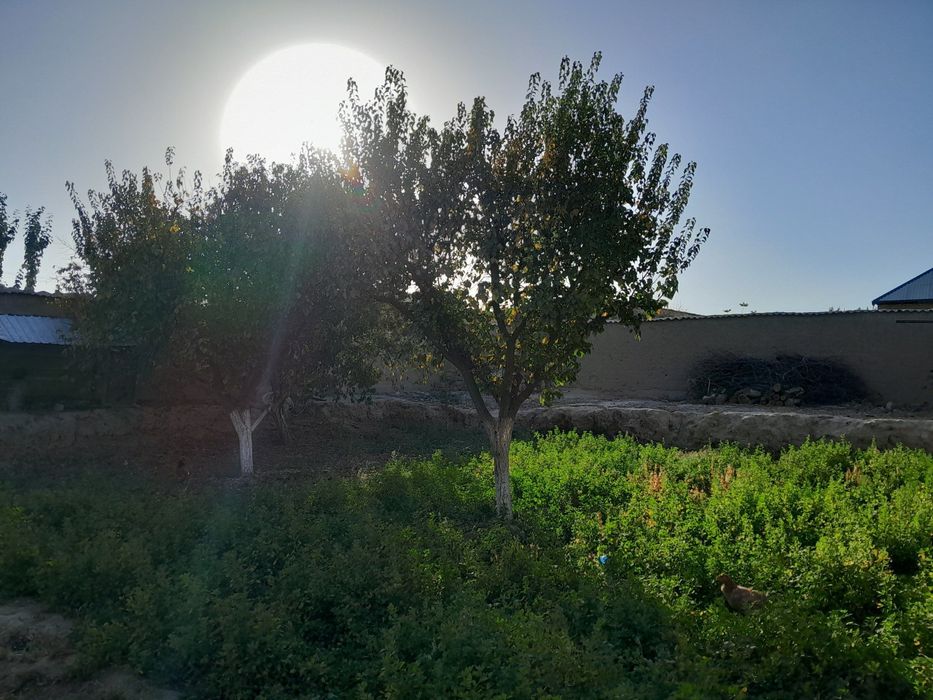 Srochni tayyor hovli sotiladi