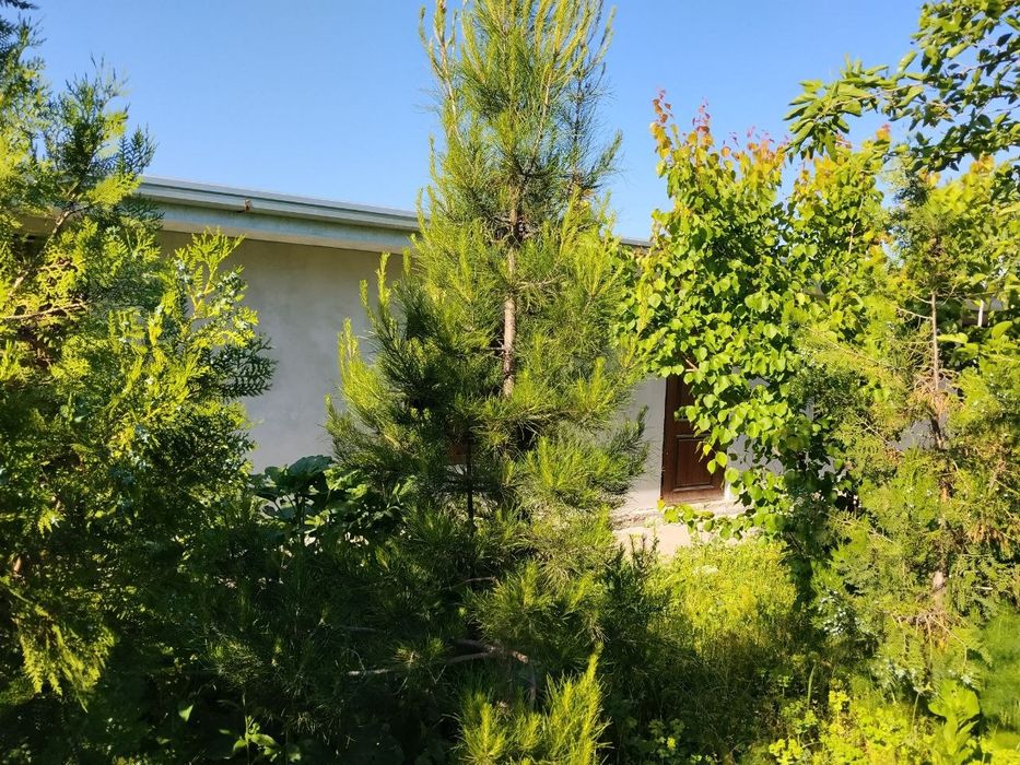 Продается дача в районе Ташморя