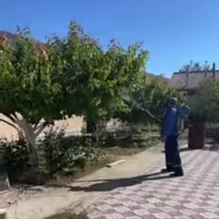 Дезинфекция услуги.