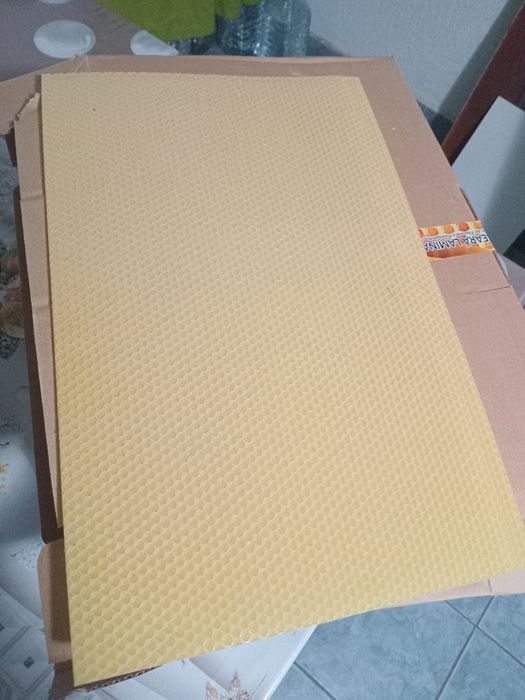 Rame si faguri de albine