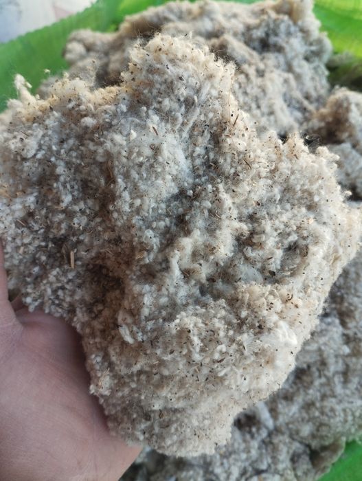 Пахта атхоти сотилади