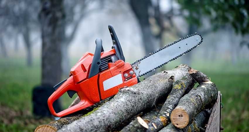 Taieri pomi , toaletari arbori , infiintat , intretinere livezi si vie