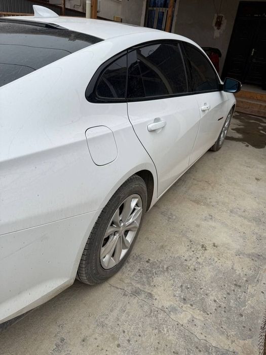 Malibu sotiladi 2023