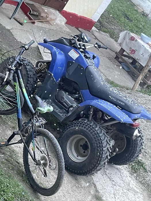 Polaris phoneix 200 an 2006