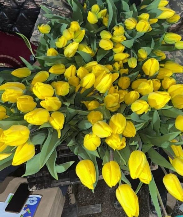 Тюльпаны оптом, разных расцветок