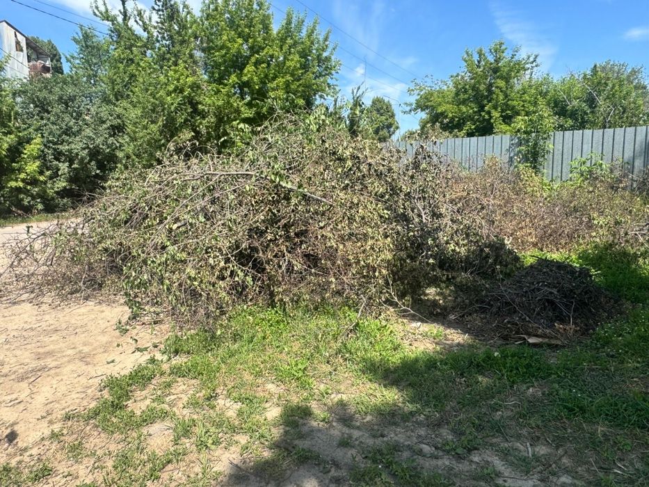 Дрова бесплатно Бурундай срочно