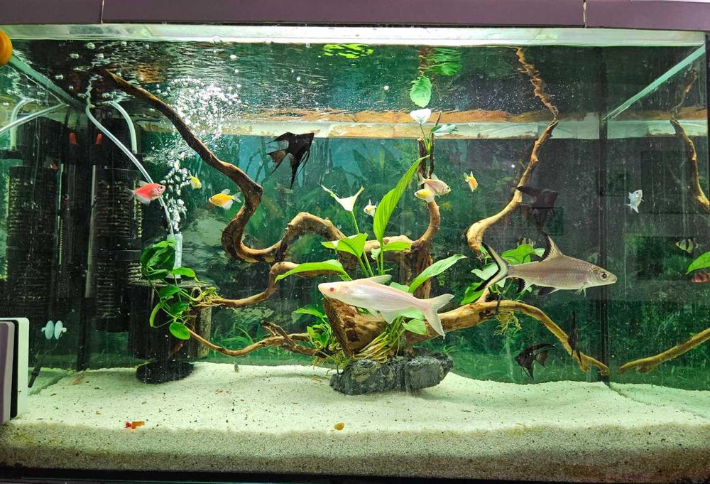 Продавам АКВАРИУМ -140литра