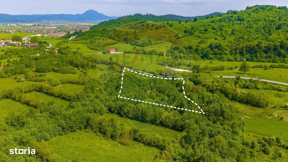 Teren 1ha Valea Glăjeriei - Rasnov | Comision 0%