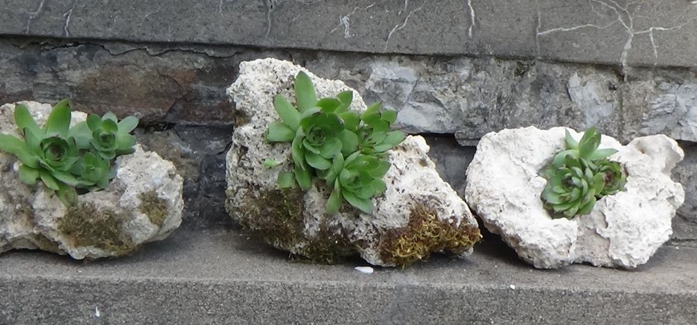 Камъни за украса на дома и градината