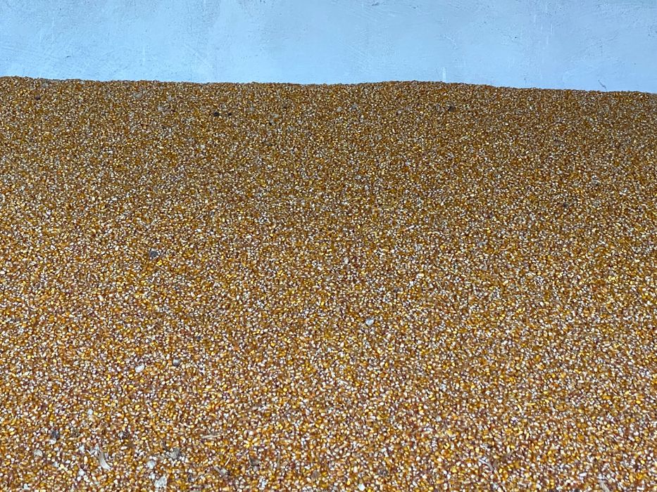 Vând grâu și grăunțe