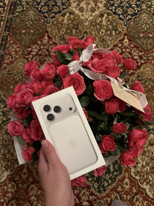 Iphone 17Pro/Pro Max