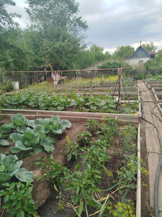 Продам дачу в д/о Оптимист