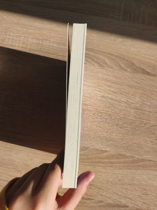 Трета книга от поредицата Дневникът на вещицата по неволя призрачна екскурзия