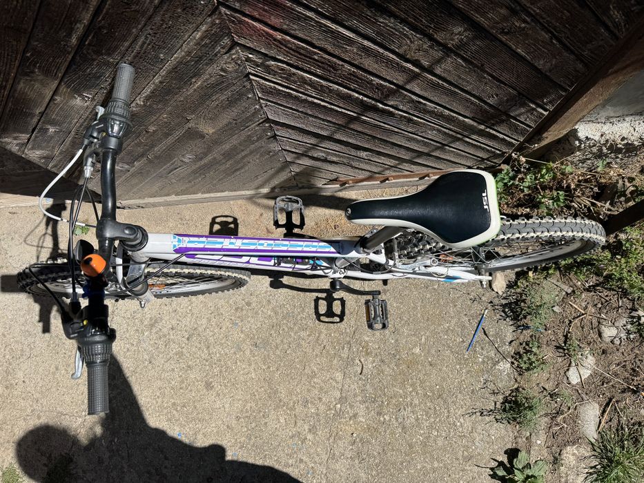 Детско колело Speedster Junior