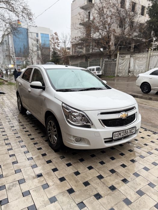 cobalt 2025 srochna !