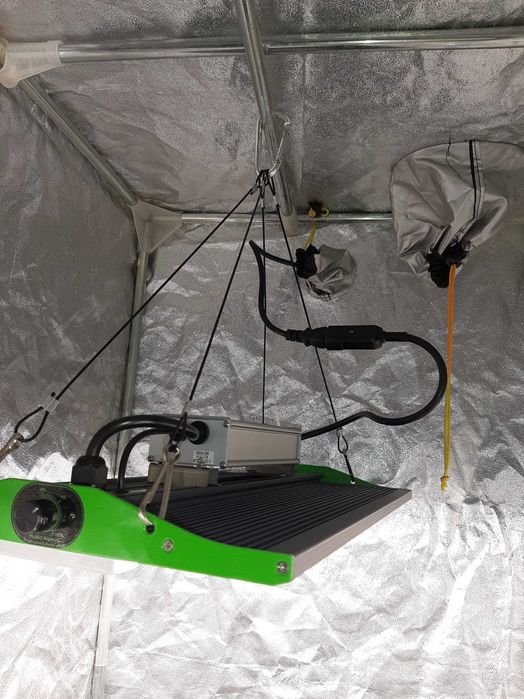 HOMEbox Light L100 Secret jardin DS60 growbox