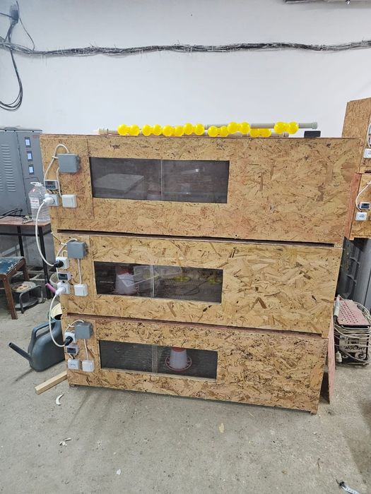 Брудер для цыплят