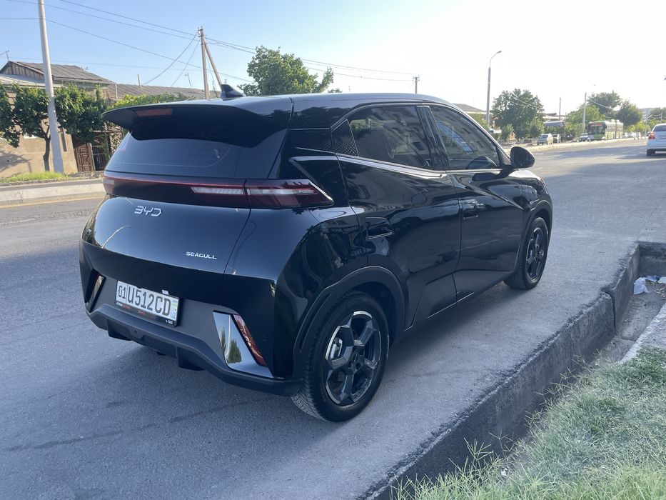 BYD seagull 2024 yil 12900.$