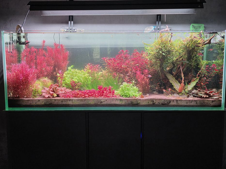 Аквариум продам..