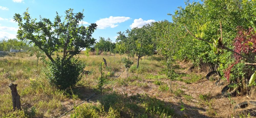 Продавача се масивна къща в кв. Въбел, гр. Търговище