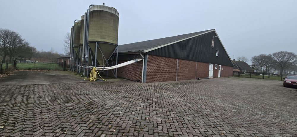 Hala de porci la ingrasare completa 1500 capete siloz furajare ventila