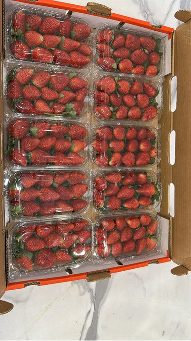 Клубника Египет