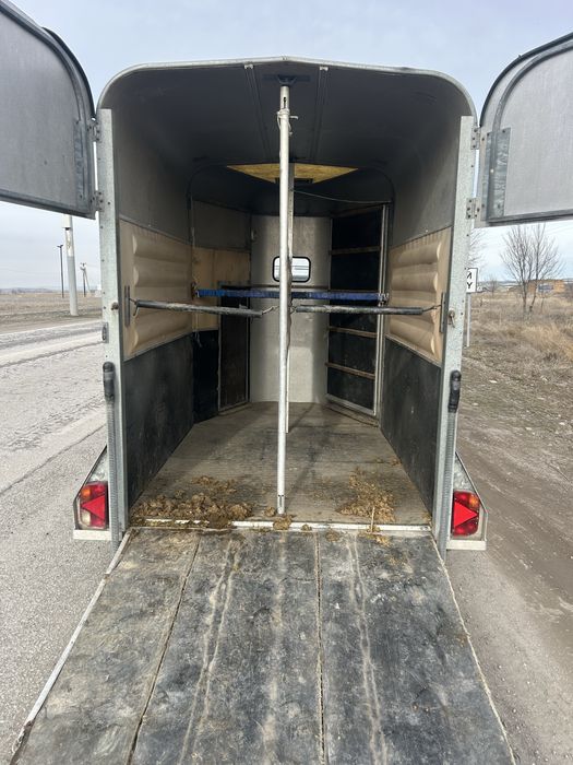 Коневозка немецкая