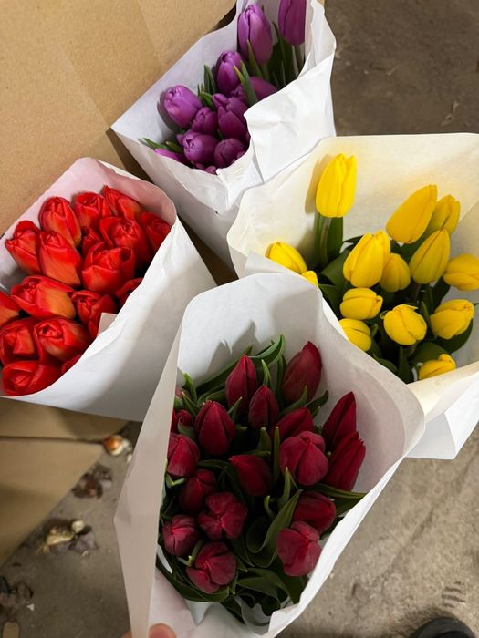 Тюльпаны по низким ценам