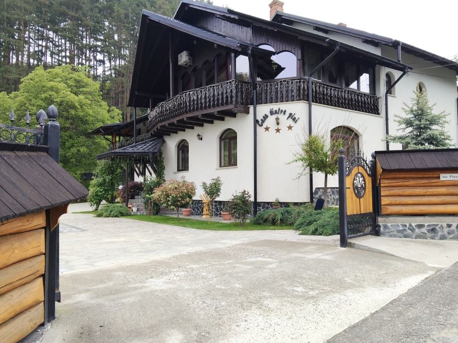Cazare Casa dintre pini